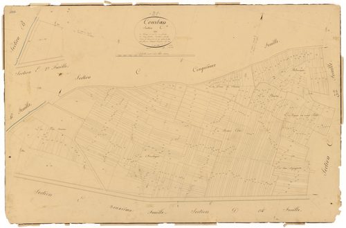 Courban - Section C4 - 3 P PLAN 209/9