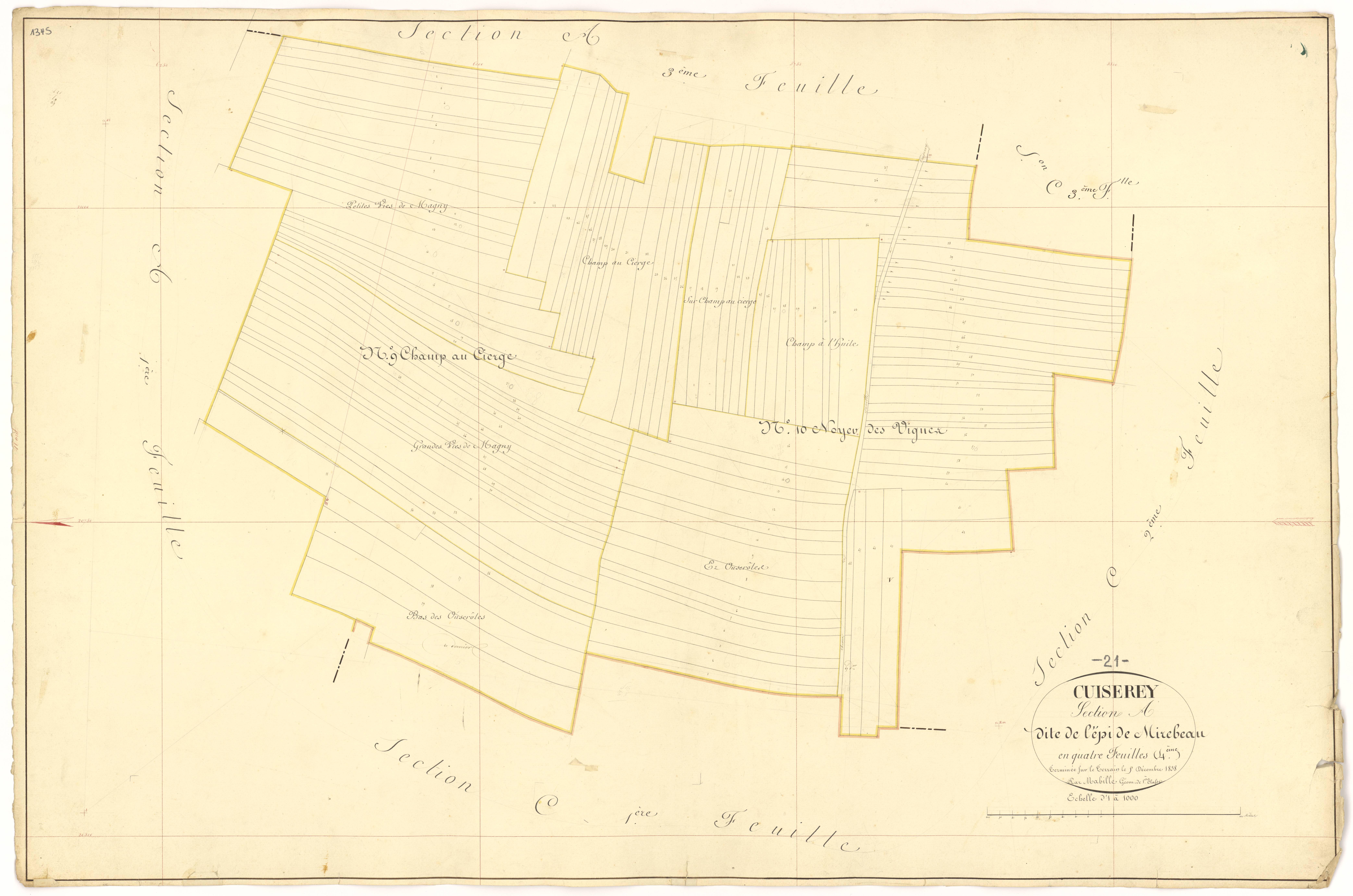 Cuiserey - Section A4 - 3 P PLAN 223/6