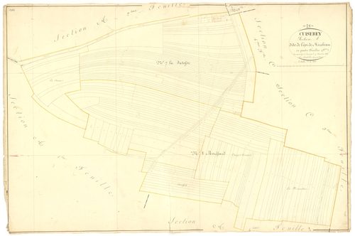 Cuiserey - Section A3 - 3 P PLAN 223/5