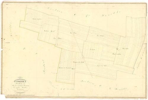 Cuiserey - Section C3 - 3 P PLAN 223/16