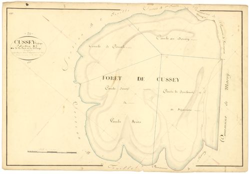 Cussey-les-Forges - Section B2 - 3 P PLAN 228/8