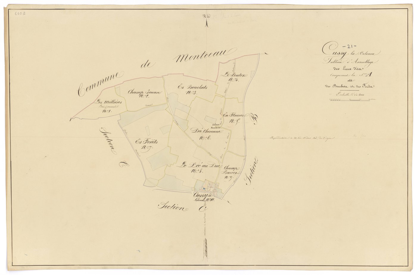 Cussy-la-Colonne - Section A (tableau d'assemblage) - 3 P PLAN 229/2
