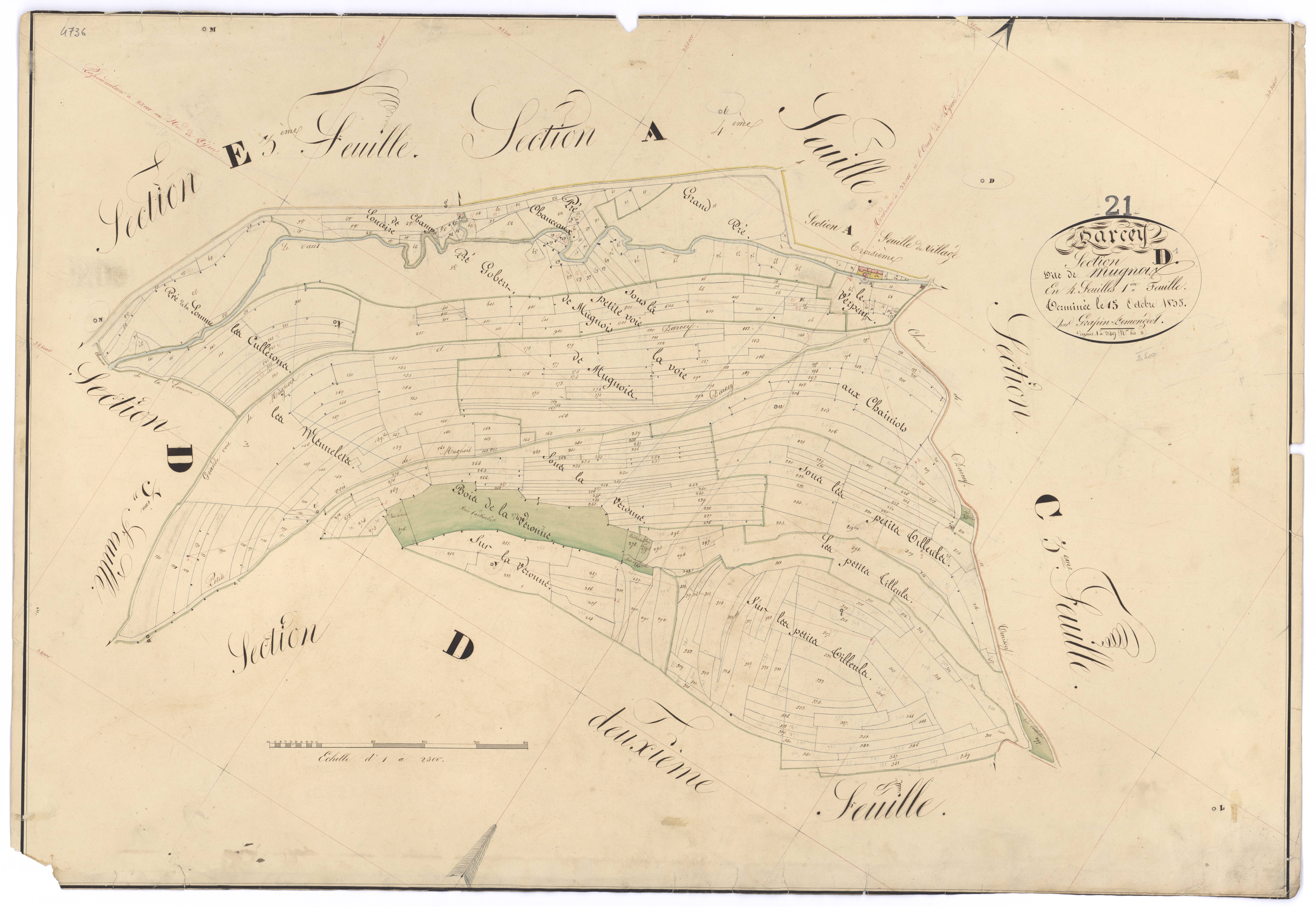 Darcey - Section D1 - 3 P PLAN 234/12