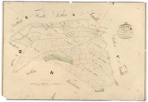Darcey - Section D1 - 3 P PLAN 234/12
