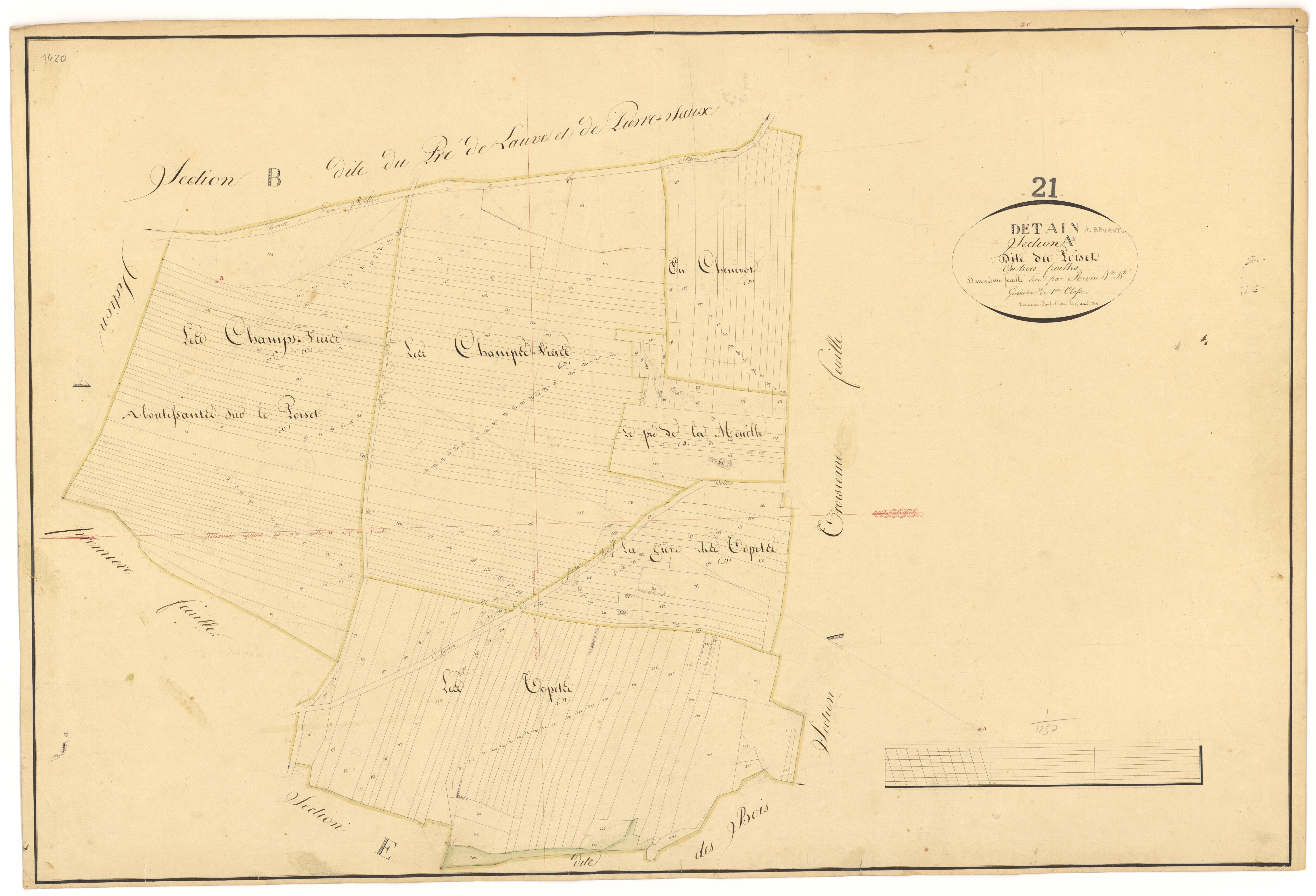 Détain-et-Bruant - Section A2 - 3 P PLAN 236/3