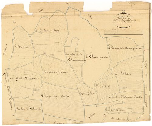 Détain-et-Bruant - Section D2 - 3 P PLAN 236/9
