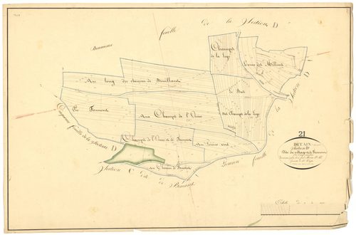 Détain-et-Bruant - Section D3 - 3 P PLAN 236/10