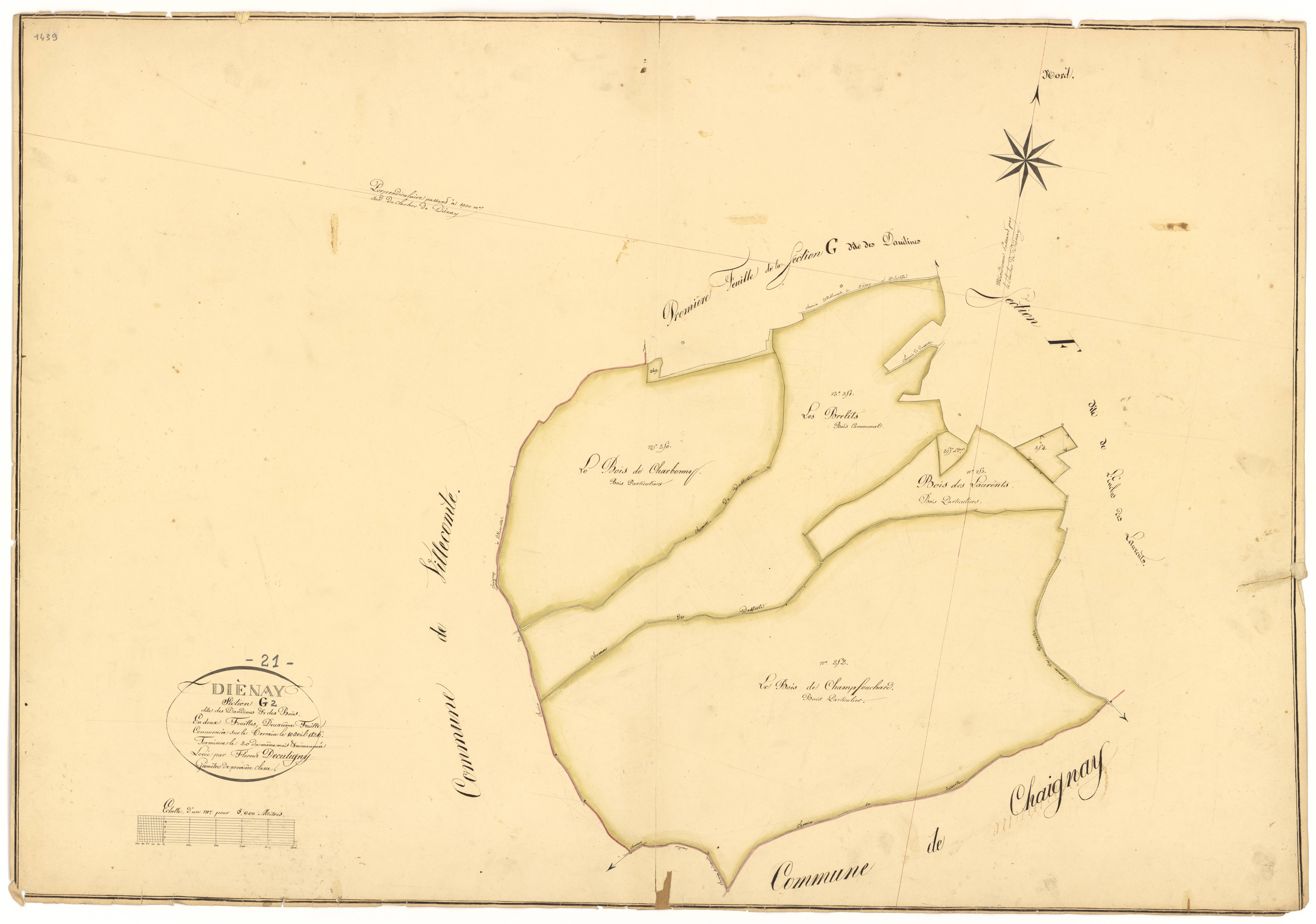 Diénay - Section G2 - 3 P PLAN 238/9