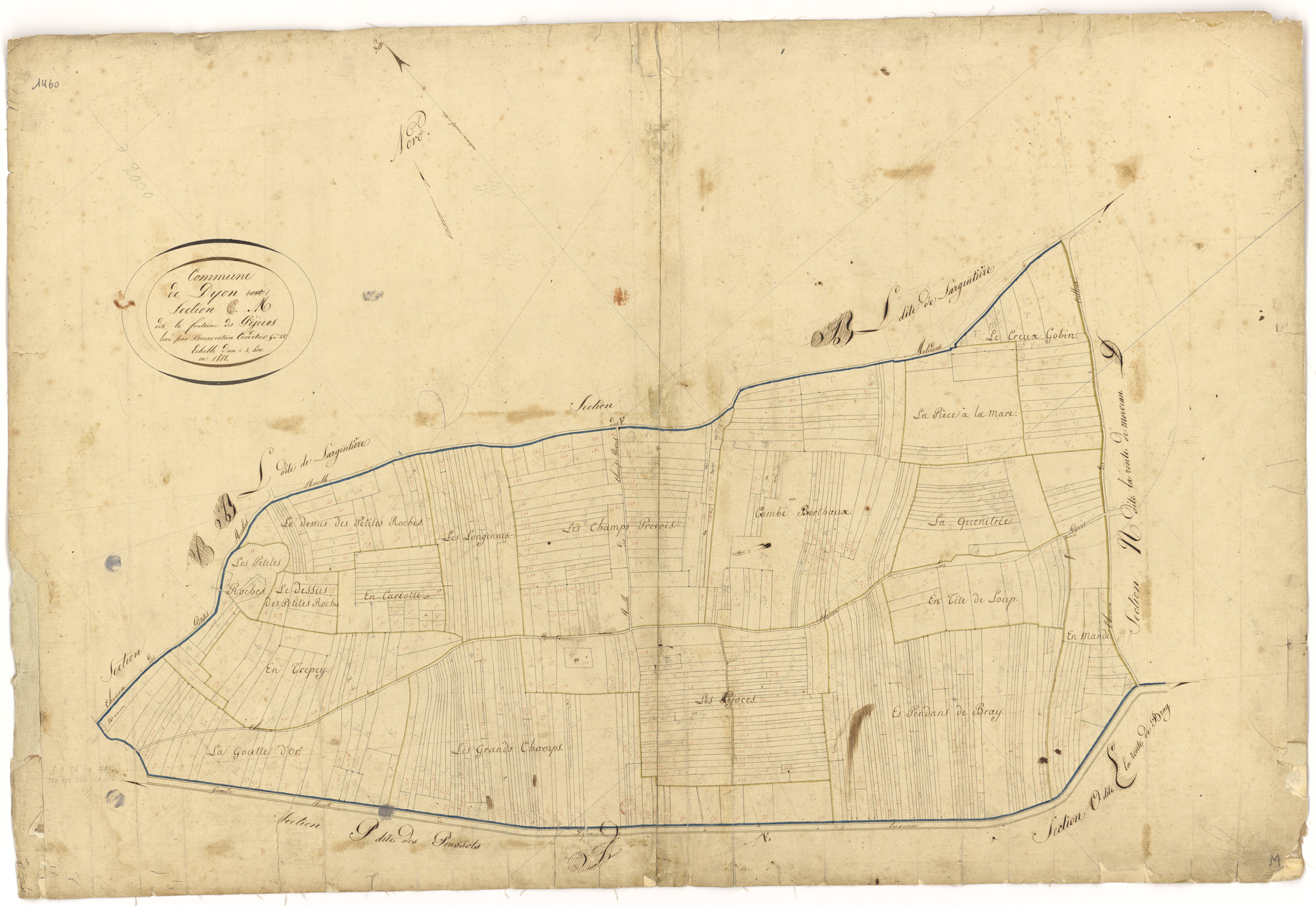 Dijon - Section M - 3 P PLAN 239/20