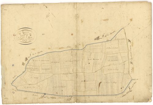 Dijon - Section M - 3 P PLAN 239/20