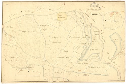 Duesme - Section B1 - 3 P PLAN 243/4