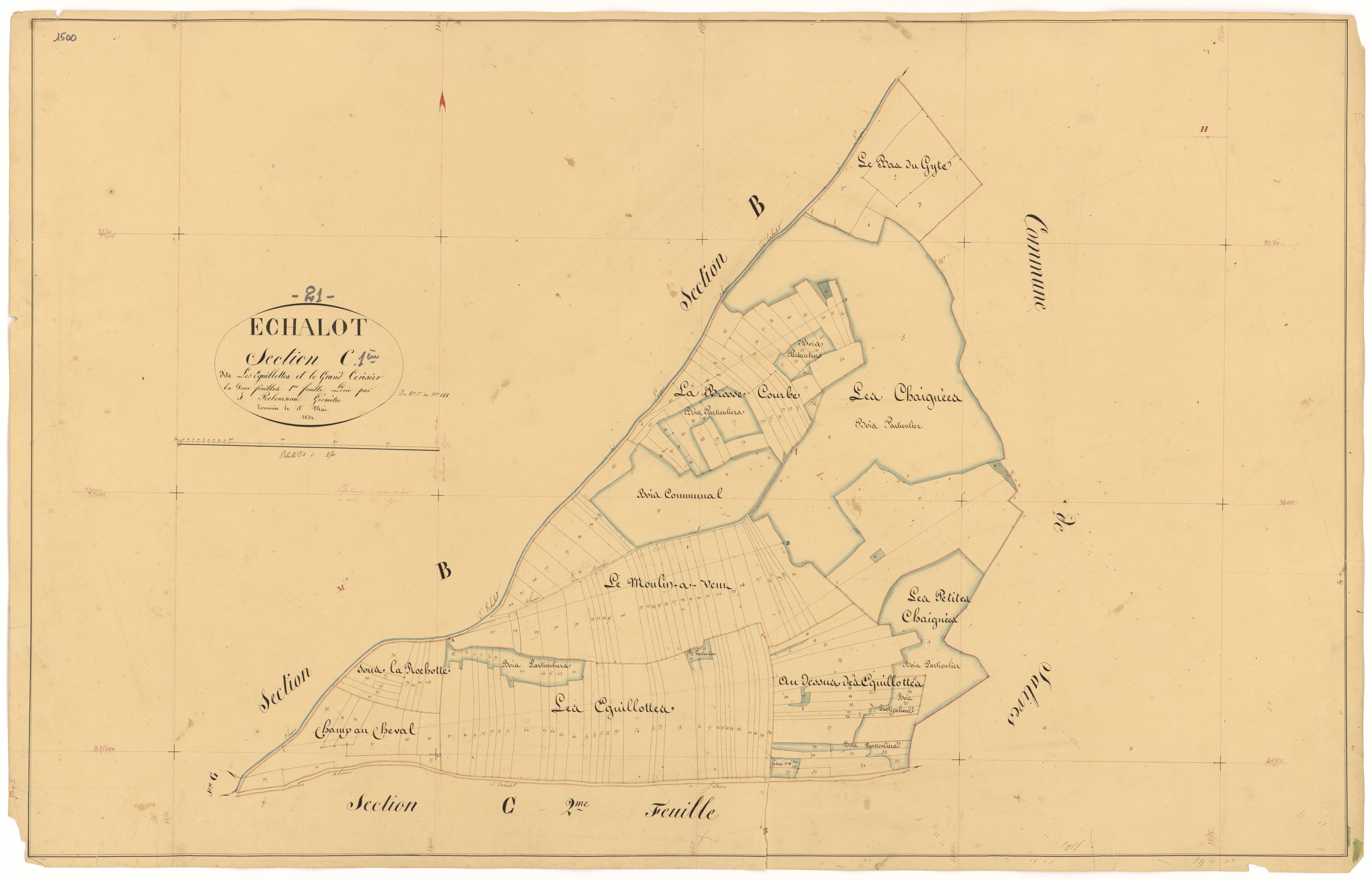 Echalot - Section C1 - 3 P PLAN 245/7