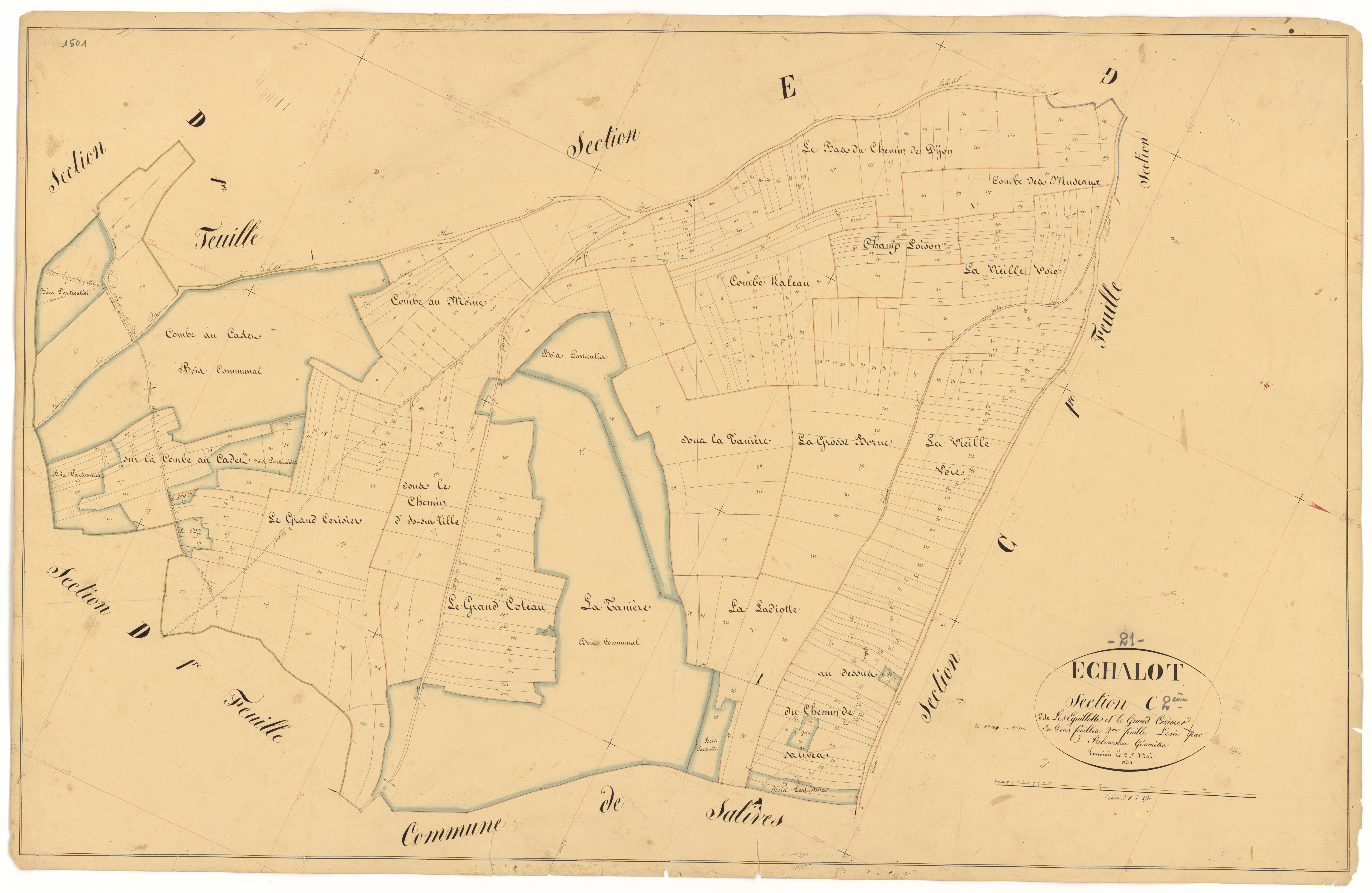 Echalot - Section C2 - 3 P PLAN 245/8