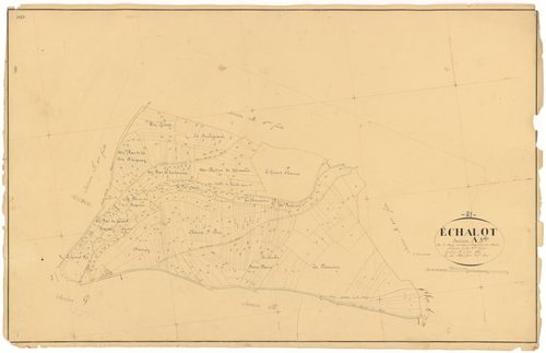 Echalot - Section A3 - 3 P PLAN 245/4