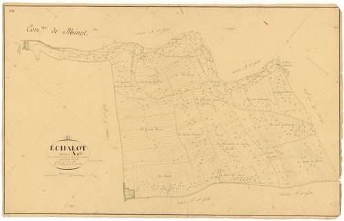 Echalot - Section A4 - 3 P PLAN 245/5