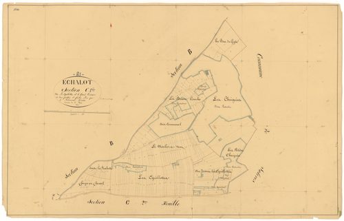 Echalot - Section C1 - 3 P PLAN 245/7