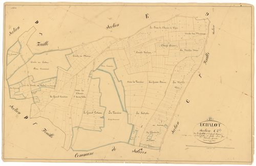 Echalot - Section C2 - 3 P PLAN 245/8