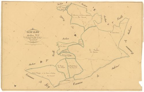 Echalot - Section D1 - 3 P PLAN 245/9