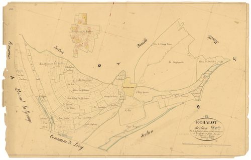 Echalot - Section D2 - 3 P PLAN 245/10