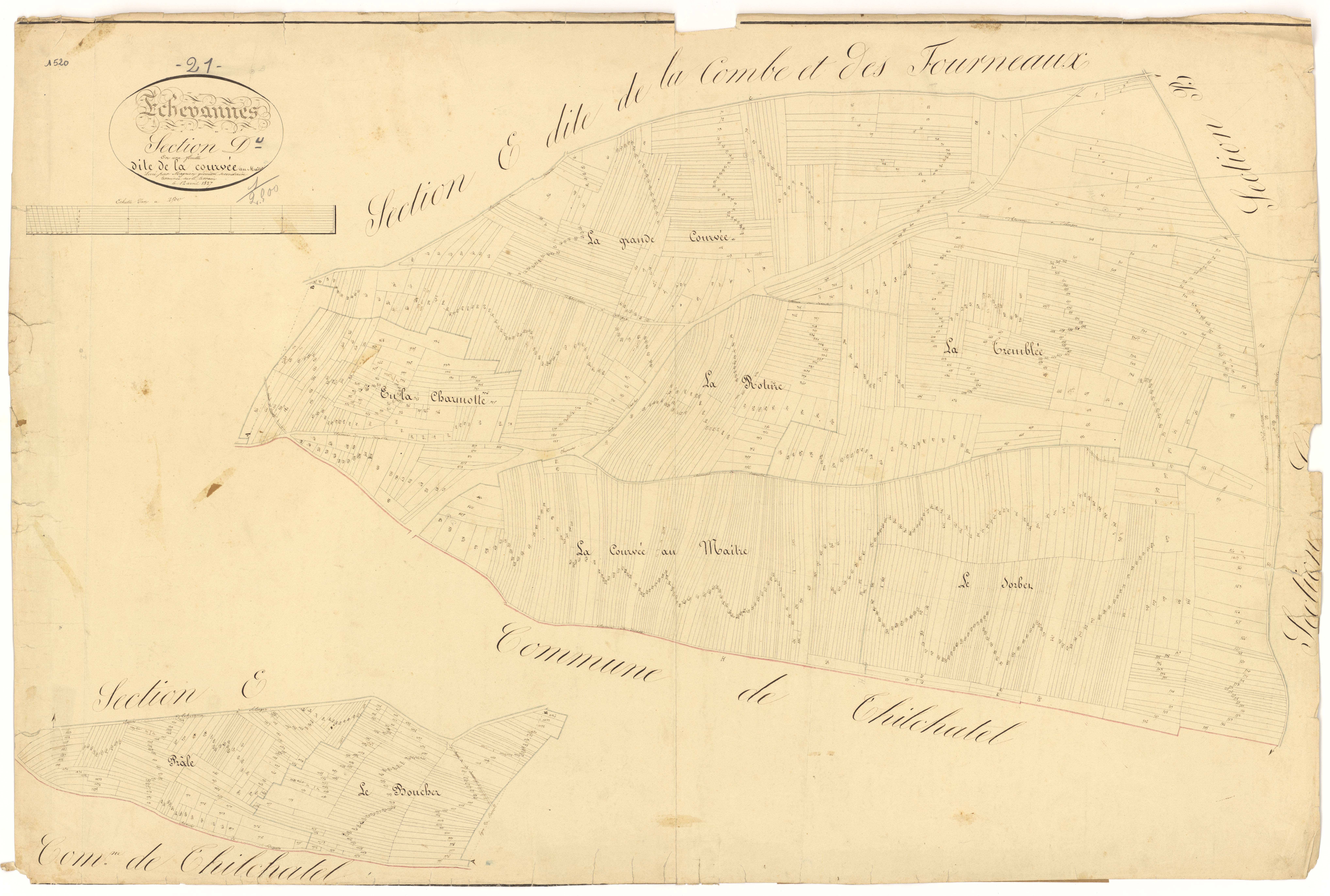 Echevannes - Section D - 3 P PLAN 248/5