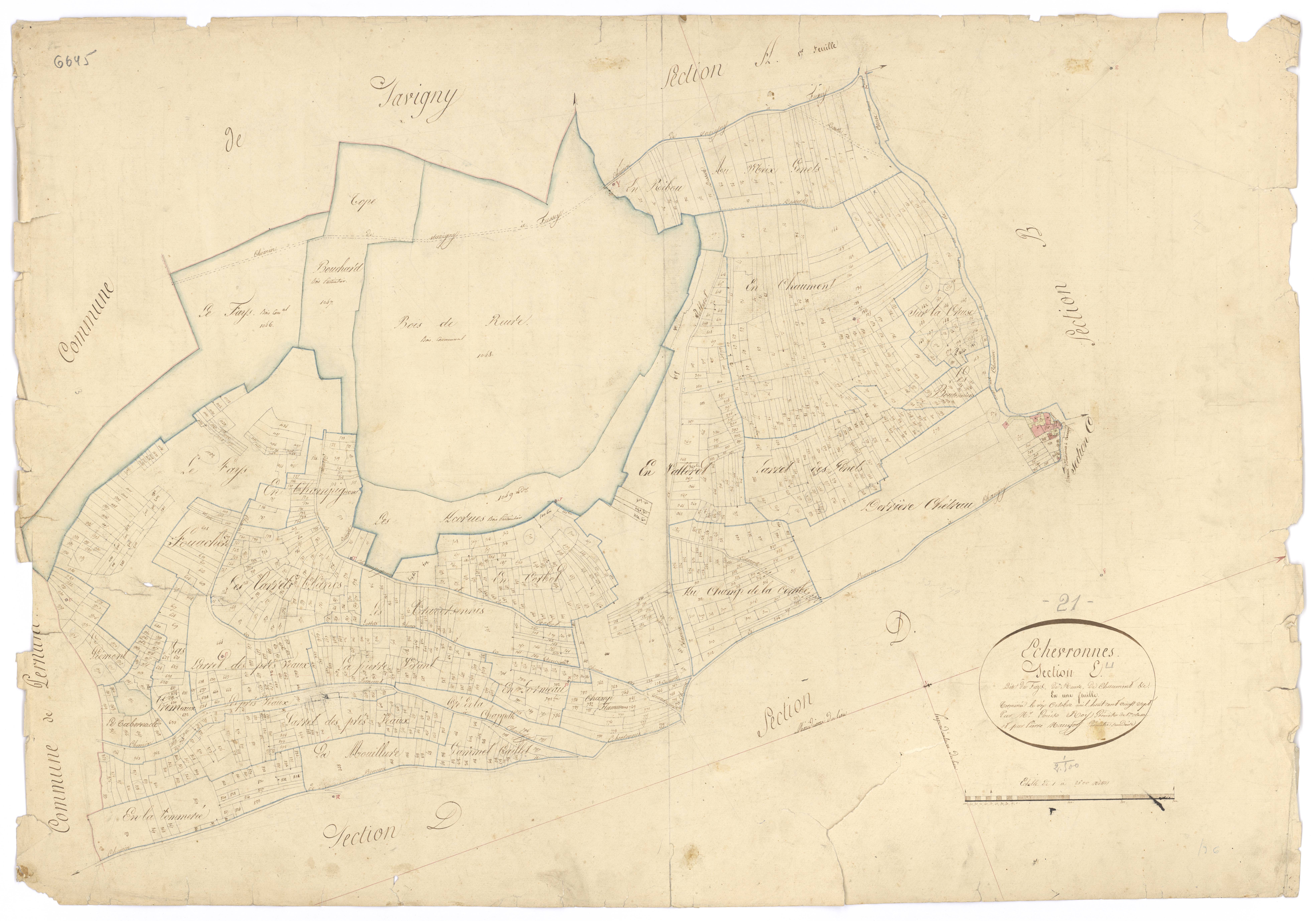 Echevronne - Section E - 3 P PLAN 249/7