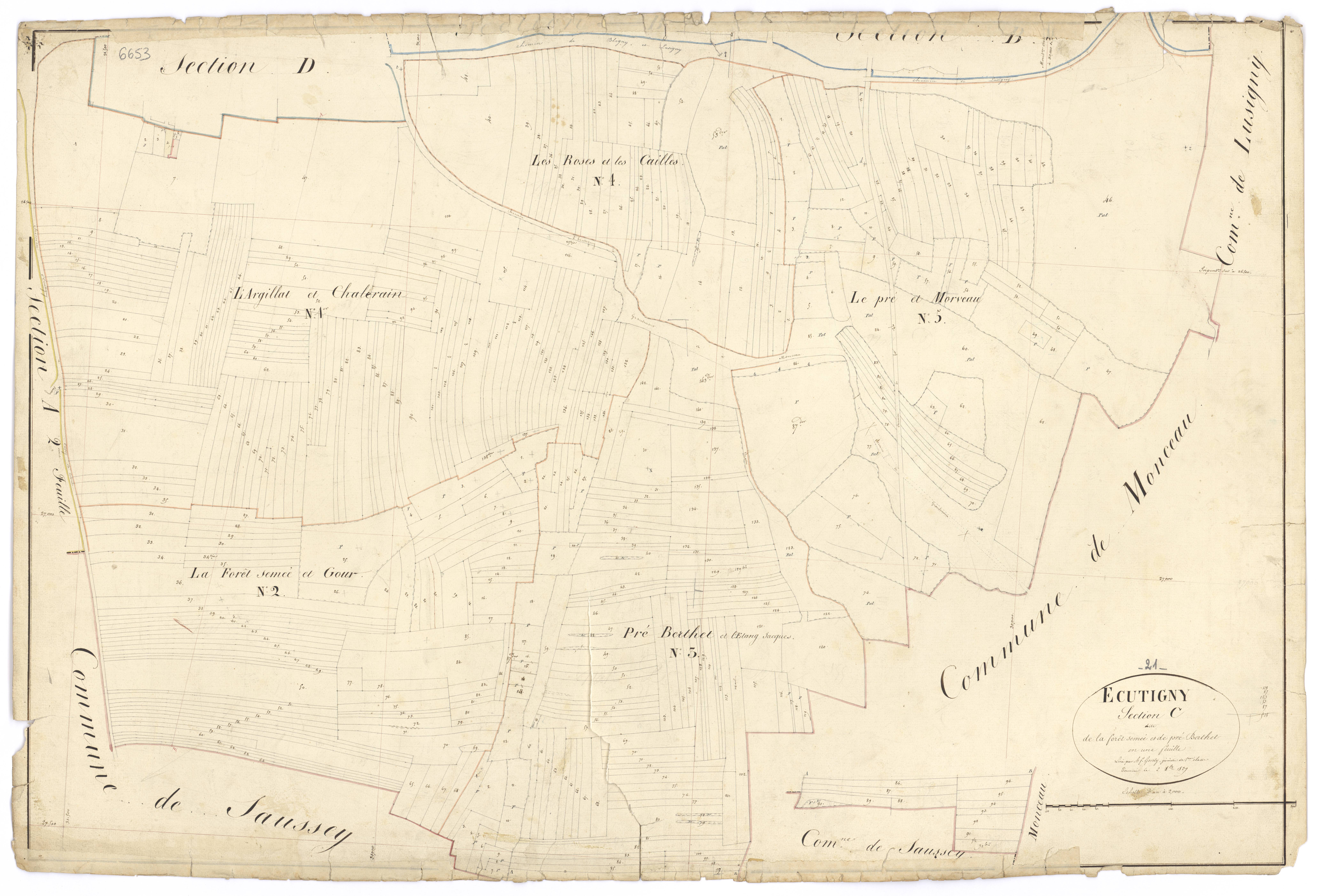 Ecutigny - Section C - 3 P PLAN 251/8