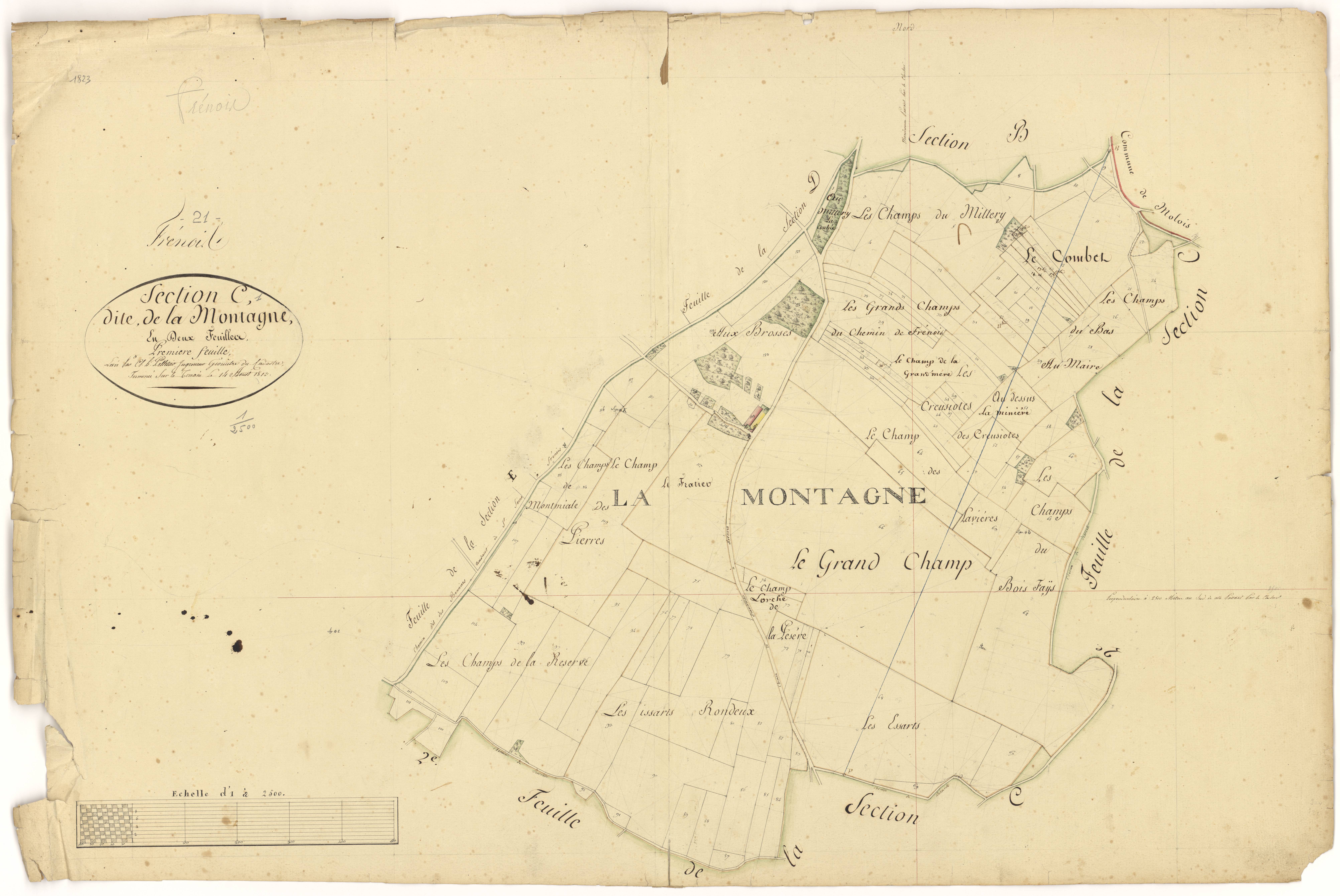 Frénois - Section C1 - 3 P PLAN 294/5