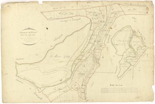 Frénois - Section E - 3 P PLAN 294/8