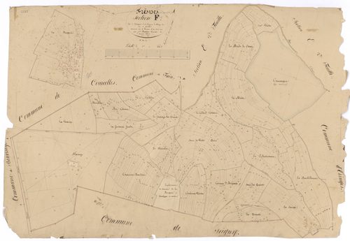 Fresnes - Section F - 3 P PLAN 295/10
