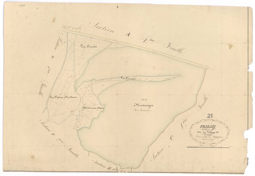Frôlois - Section F1 - 3 P PLAN 296/19