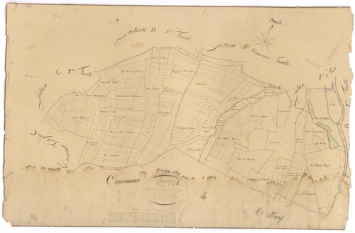 Genay - Section C1 - 3 P PLAN 299/6