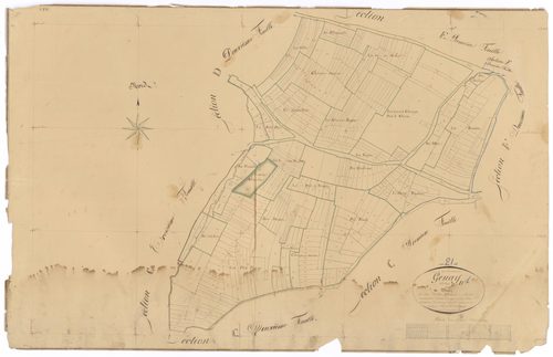 Genay - Section D1 - 3 P PLAN 299/9