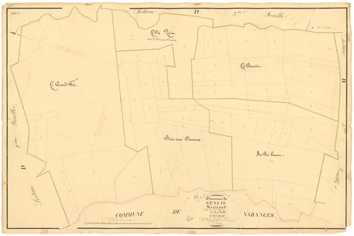 Genlis - Section D4 - 3 P PLAN 300/19
