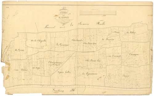 Gevrey-Chambertin - Section I2 - 3 P PLAN 303/19
