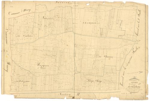 Gevrey-Chambertin - Section I3 - 3 P PLAN 303/20