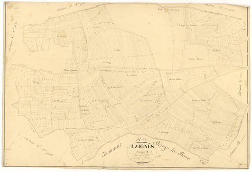 Laignes - Section C1 - 3 P PLAN 338/6