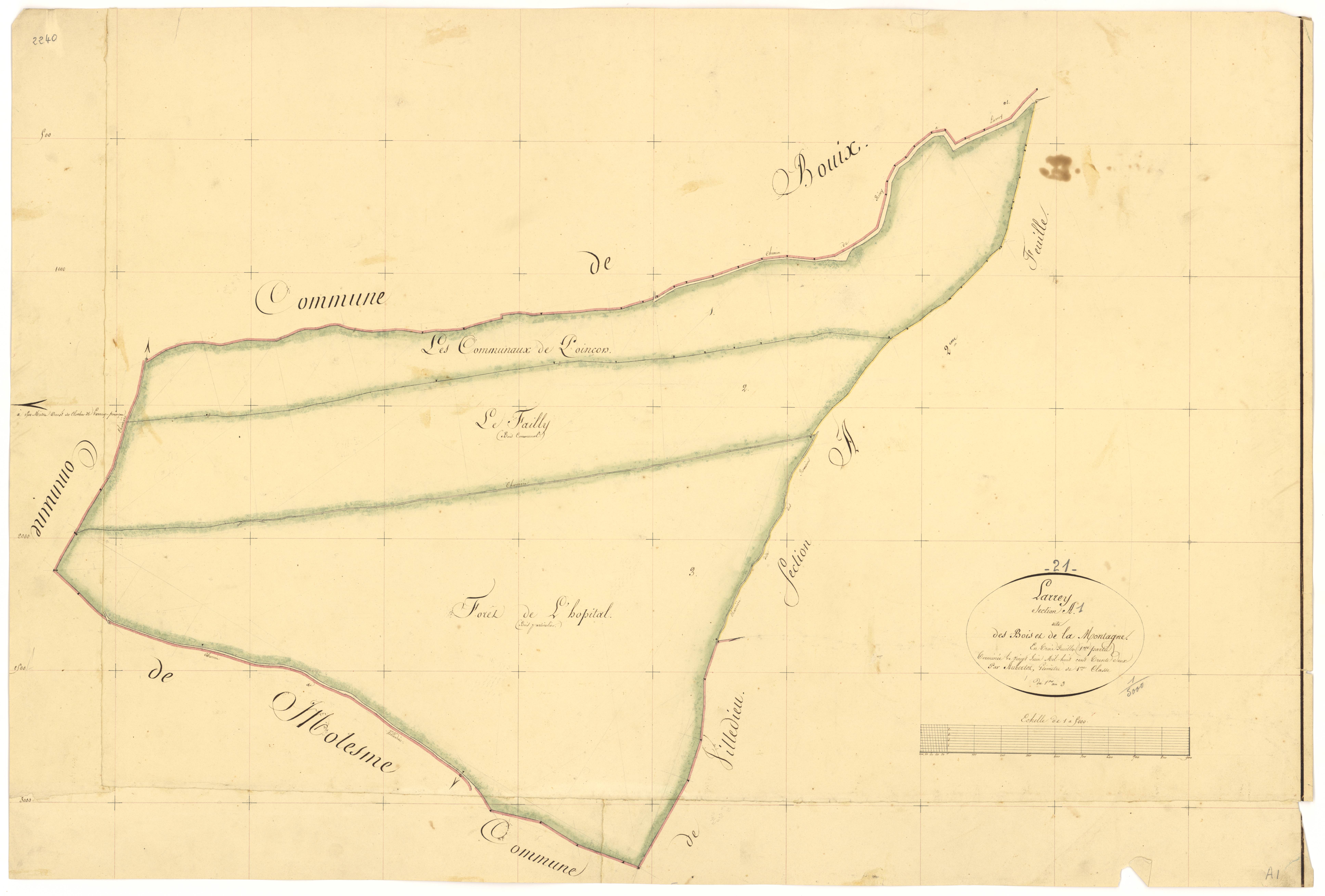 Larrey - Section A1 - 3 P PLAN 342/2
