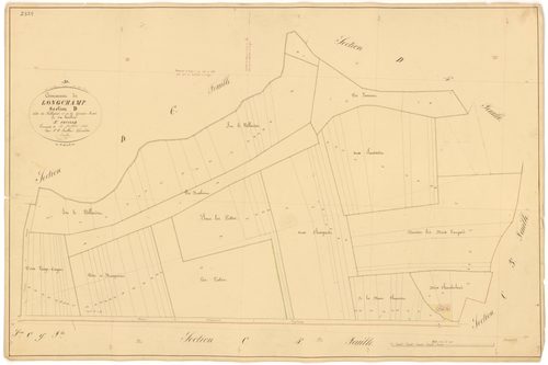 Longchamp - Section D5 - 3 P PLAN 348/28