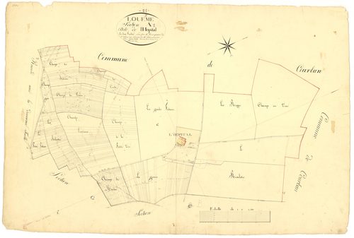 Louesme - Section A1 - 3 P PLAN 354/2