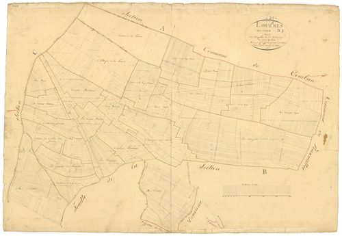 Louesme - Section B1 - 3 P PLAN 354/4