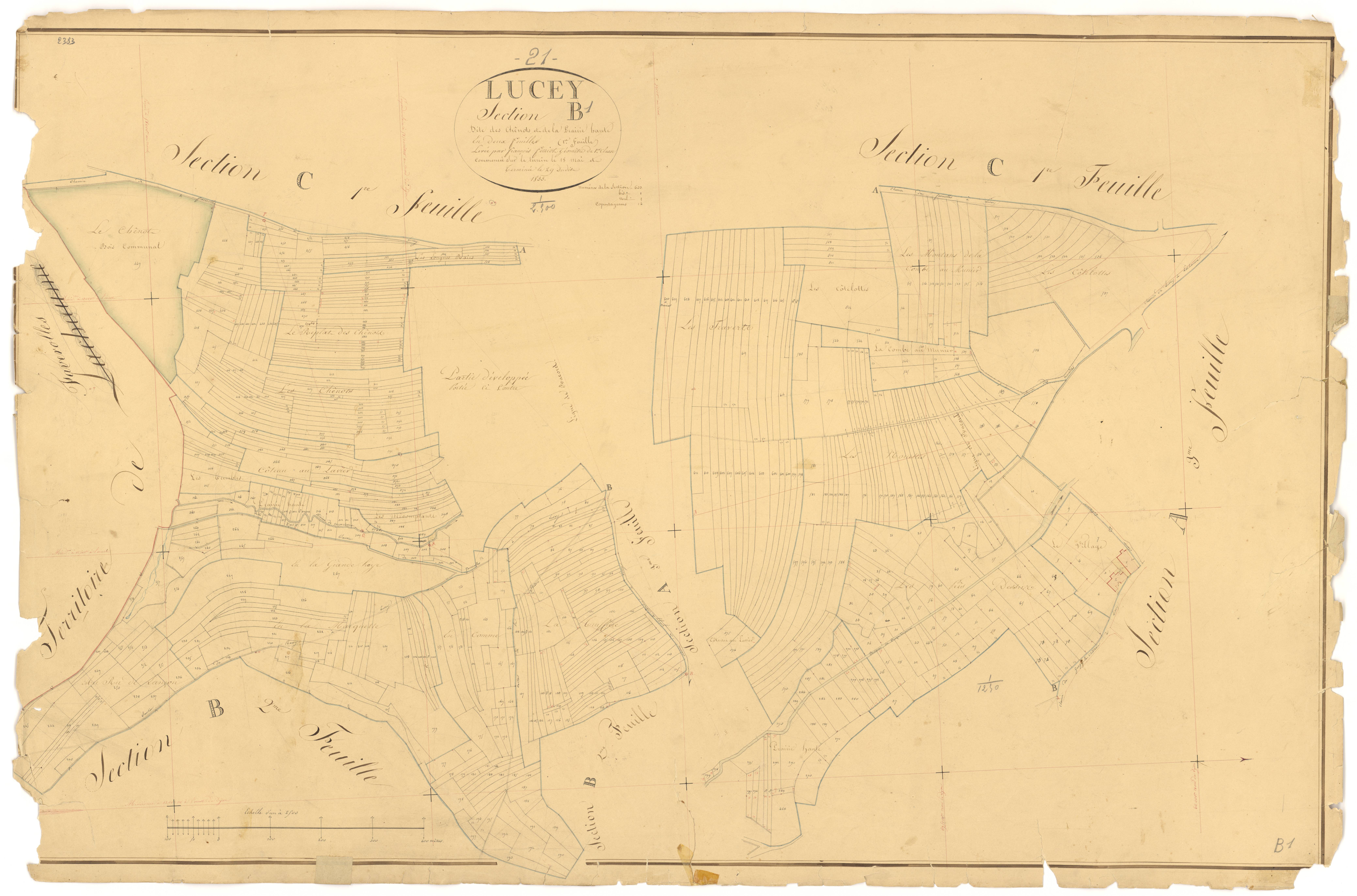 Lucey - Section B1 - 3 P PLAN 356/5