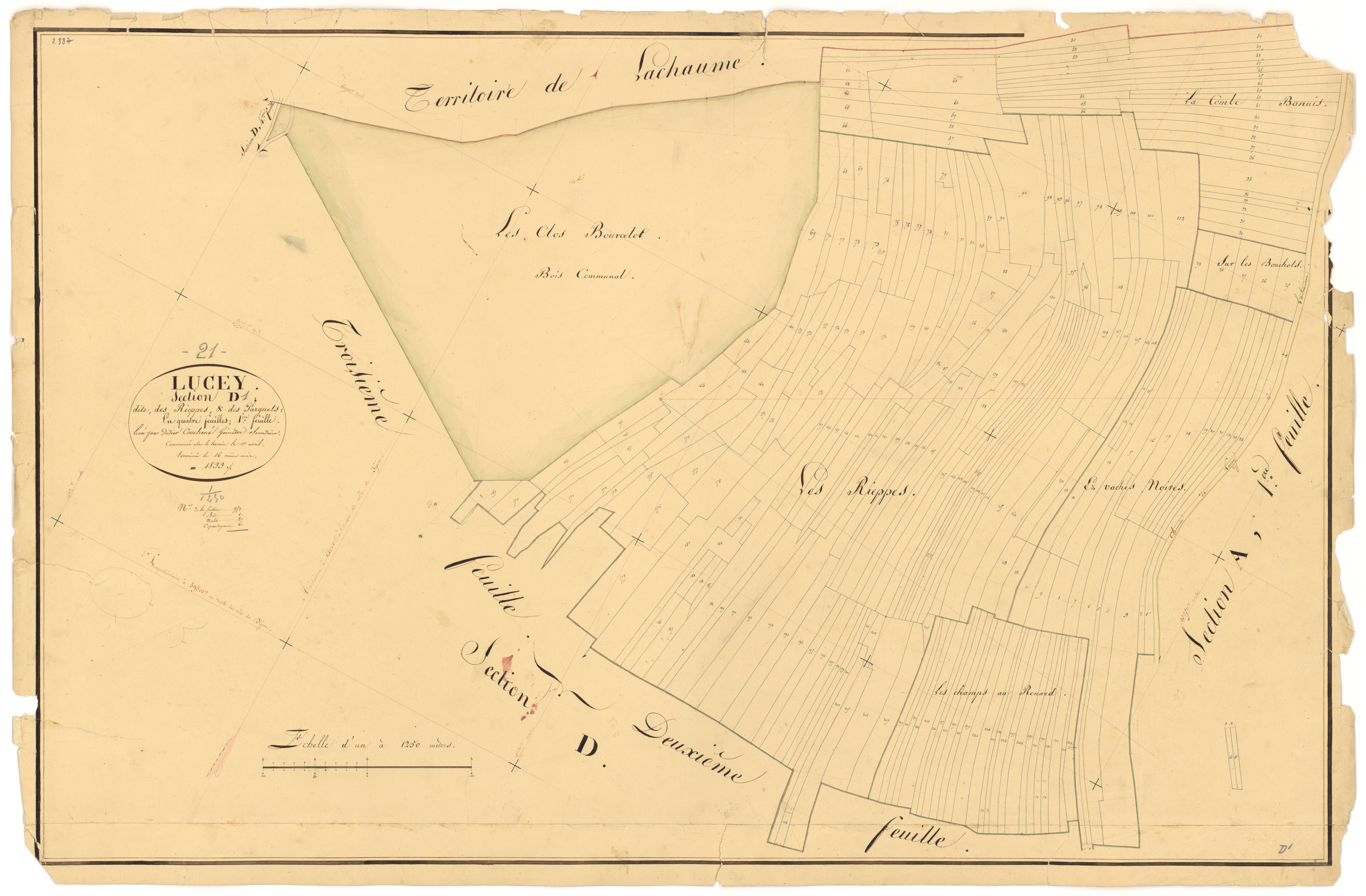 Lucey - Section D1 - 3 P PLAN 356/9