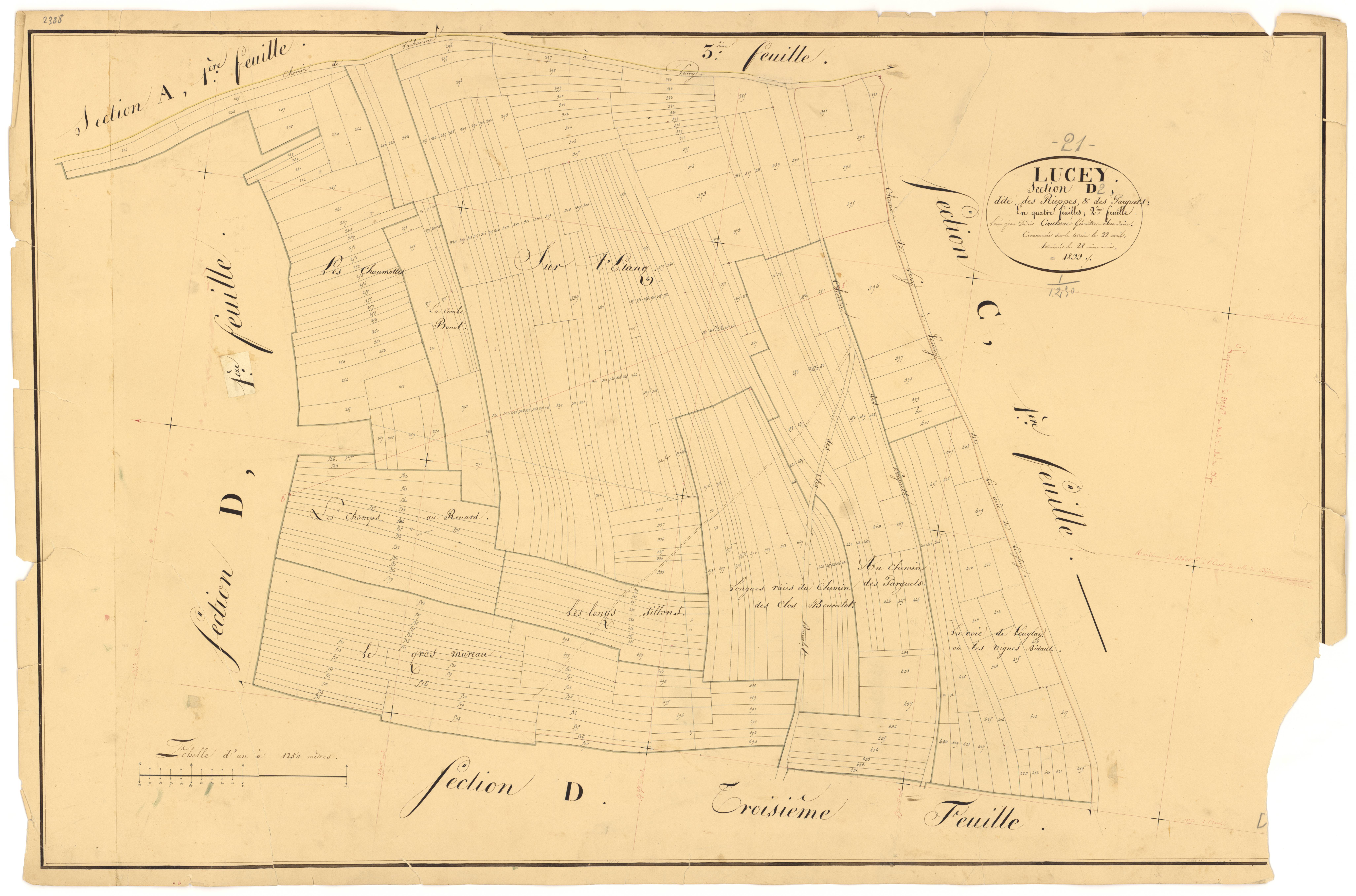 Lucey - Section D2 - 3 P PLAN 356/10
