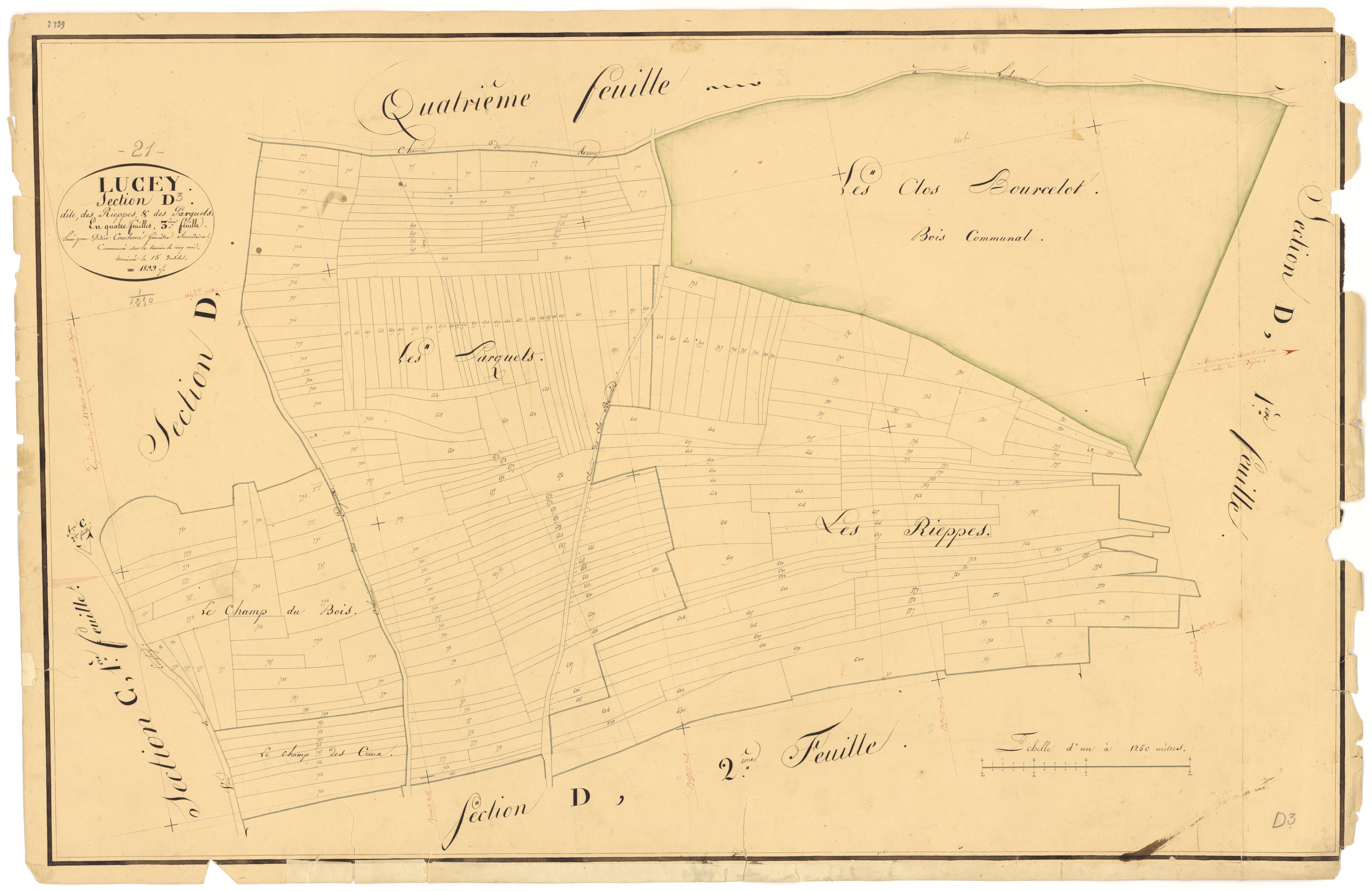 Lucey - Section D3 - 3 P PLAN 356/11