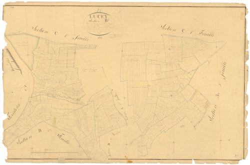 Lucey - Section B1 - 3 P PLAN 356/5