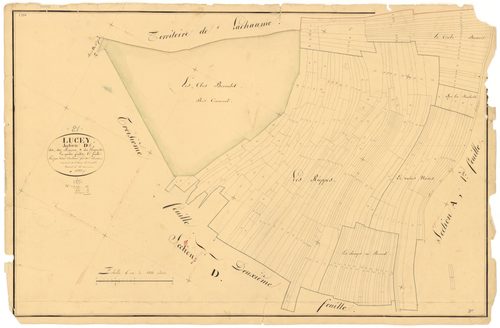Lucey - Section D1 - 3 P PLAN 356/9