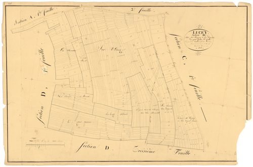 Lucey - Section D2 - 3 P PLAN 356/10