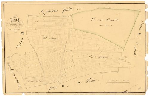 Lucey - Section D3 - 3 P PLAN 356/11