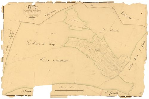 Lucey - Section D4 - 3 P PLAN 356/12