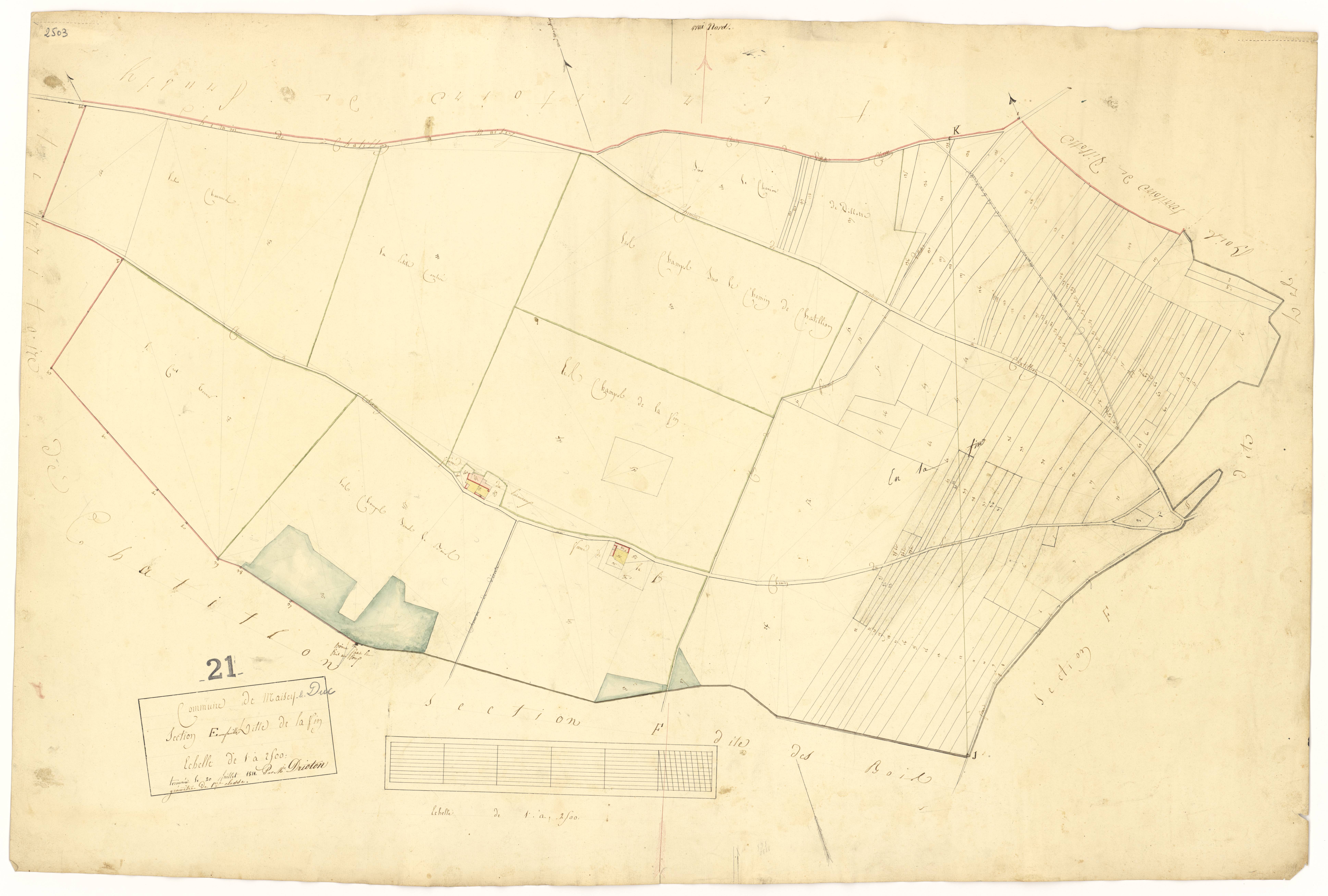 Maisey-le-Duc - Section E - 3 P PLAN 369/6